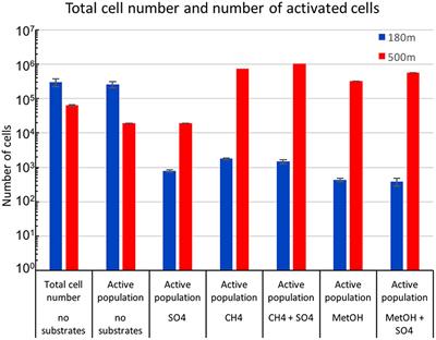 Reactivation of Deep Subsurface Microbial Community in Response to Methane or Methanol Amendment